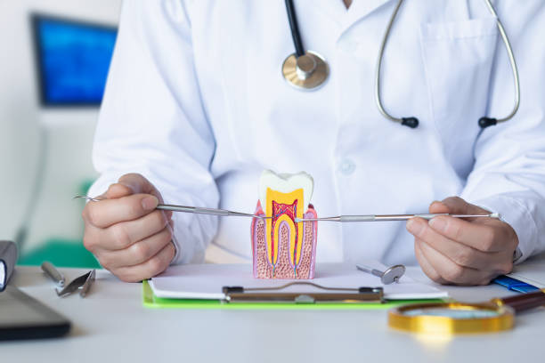 Best Cosmetic Emergency Dentistry in Hickman, NE